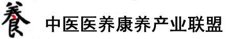 我捅美女肉洞视频在线看